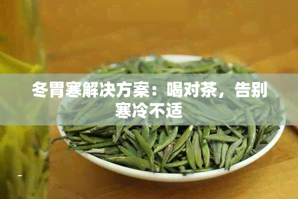 冬胃寒解决方案：喝对茶，告别寒冷不适