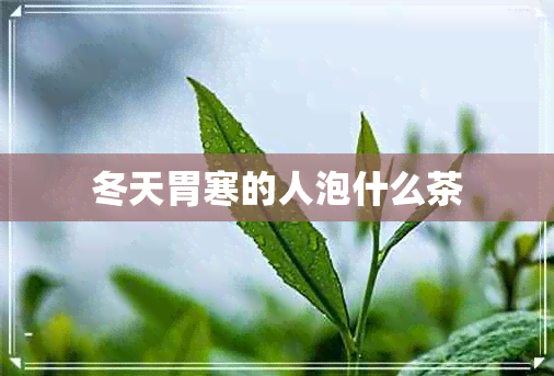 冬天胃寒的人泡什么茶