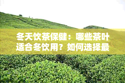 冬天饮茶保健：哪些茶叶适合冬饮用？如何选择最适合的茶叶以促进健？