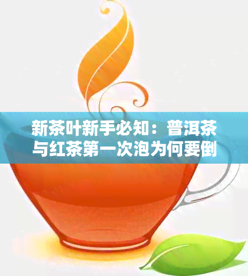 新茶叶新手必知：普洱茶与红茶之一次泡为何要倒掉？