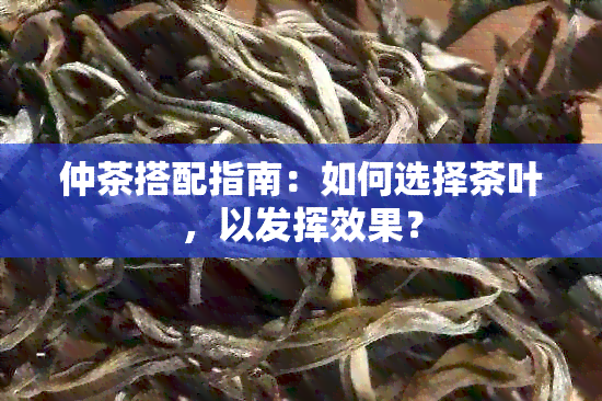 仲茶搭配指南：如何选择茶叶，以发挥效果？