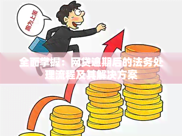 全面掌握：网贷逾期后的法务处理流程及其解决方案