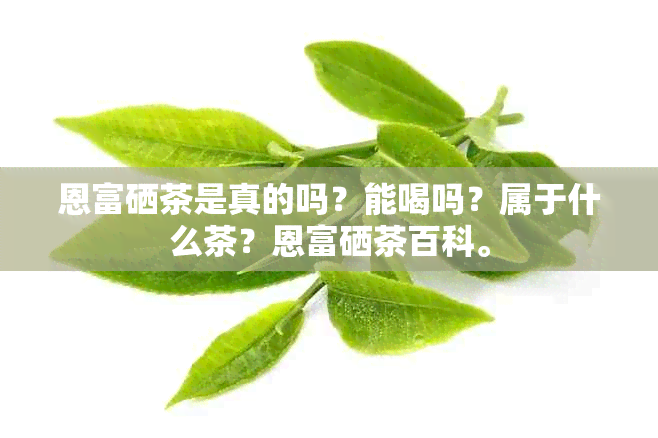 恩富硒茶是真的吗？能喝吗？属于什么茶？恩富硒茶百科。