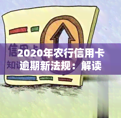 2020年农行信用卡逾期新法规：解读政策详情，如何应对逾期问题及预防措