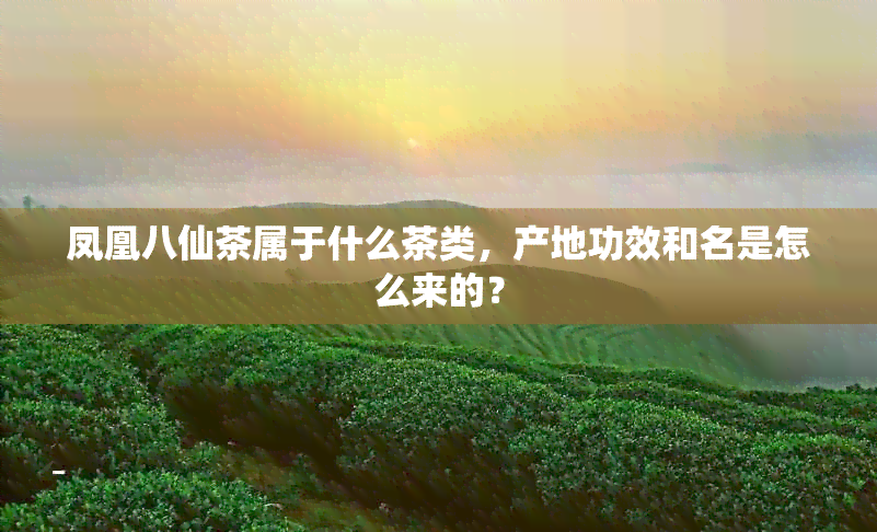 凤凰八仙茶属于什么茶类，产地功效和名是怎么来的？