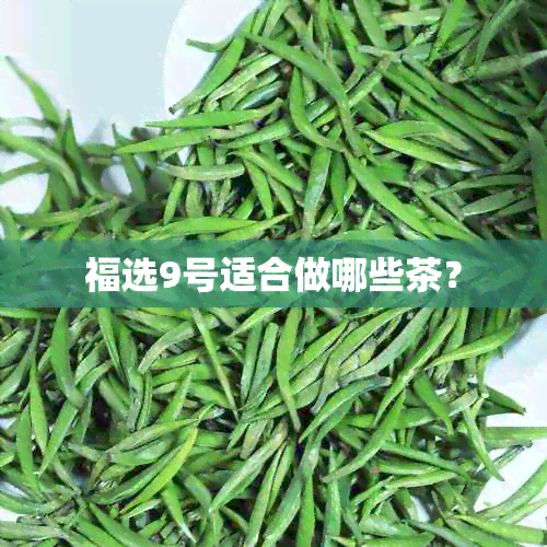 福选9号适合做哪些茶？