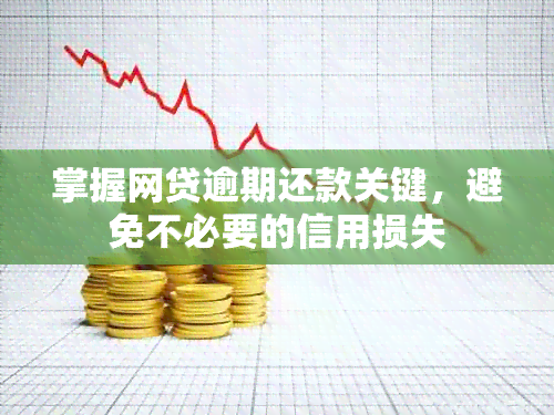 掌握网贷逾期还款关键，避免不必要的信用损失