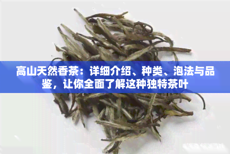 高山天然香茶：详细介绍、种类、泡法与品鉴，让你全面了解这种独特茶叶