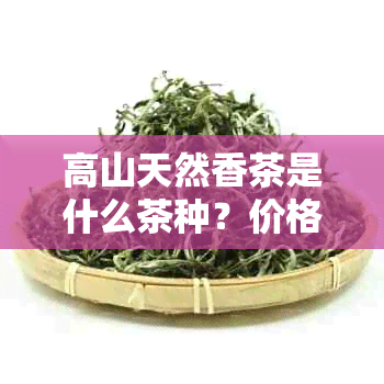 高山天然香茶是什么茶种？价格，类型与制作方法解析