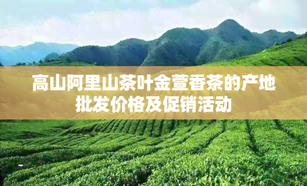 高山阿里山茶叶金萱香茶的产地批发价格及促销活动