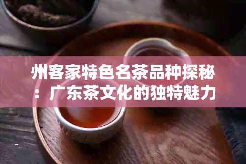 州客家特色名茶品种探秘：广东茶文化的独特魅力