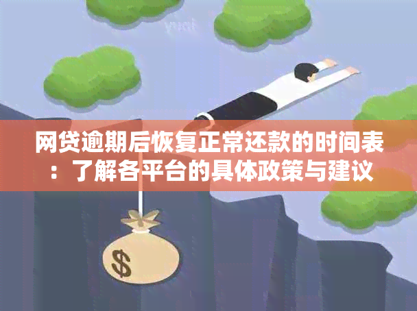 网贷逾期后恢复正常还款的时间表：了解各平台的具体政策与建议