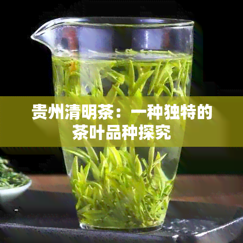 贵州清明茶：一种独特的茶叶品种探究