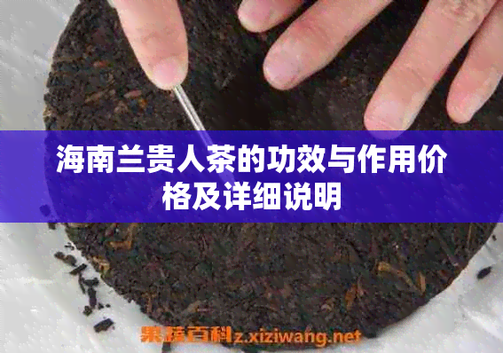 海南兰贵人茶的功效与作用价格及详细说明