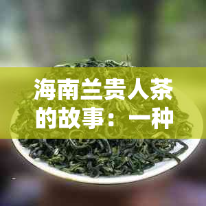 海南兰贵人茶的故事：一种独特的茶文化传承