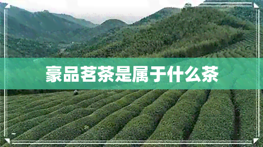 豪品茗茶是属于什么茶