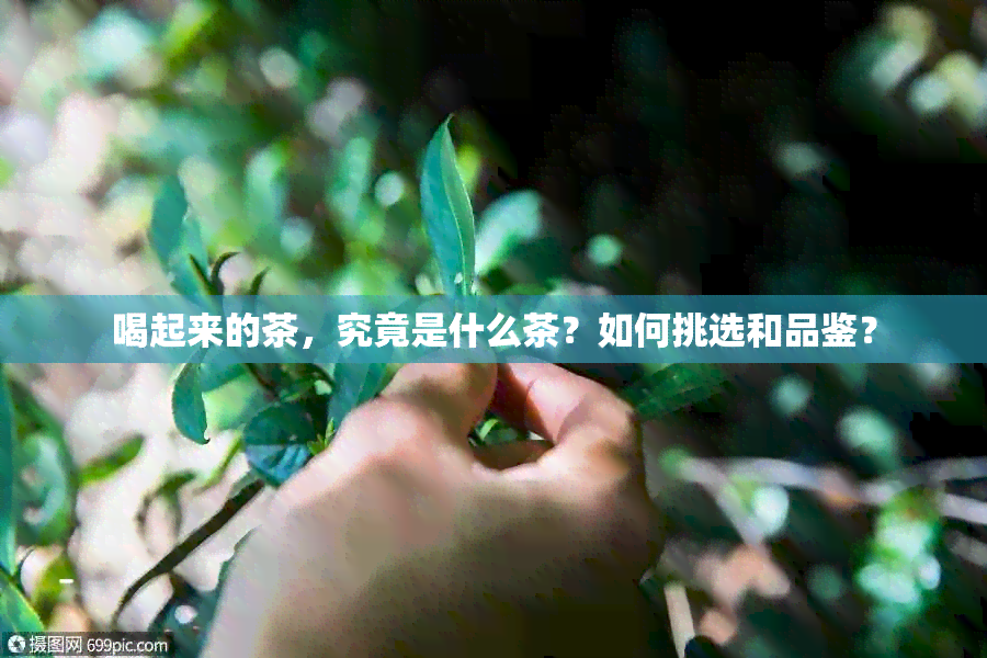 喝起来的茶，究竟是什么茶？如何挑选和品鉴？