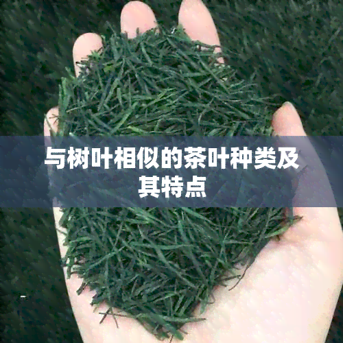 与树叶相似的茶叶种类及其特点