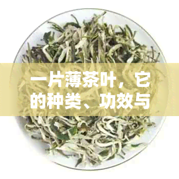 一片薄茶叶，它的种类、功效与泡法有哪些？