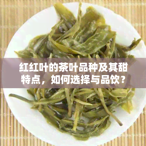 红红叶的茶叶品种及其甜特点，如何选择与品饮？