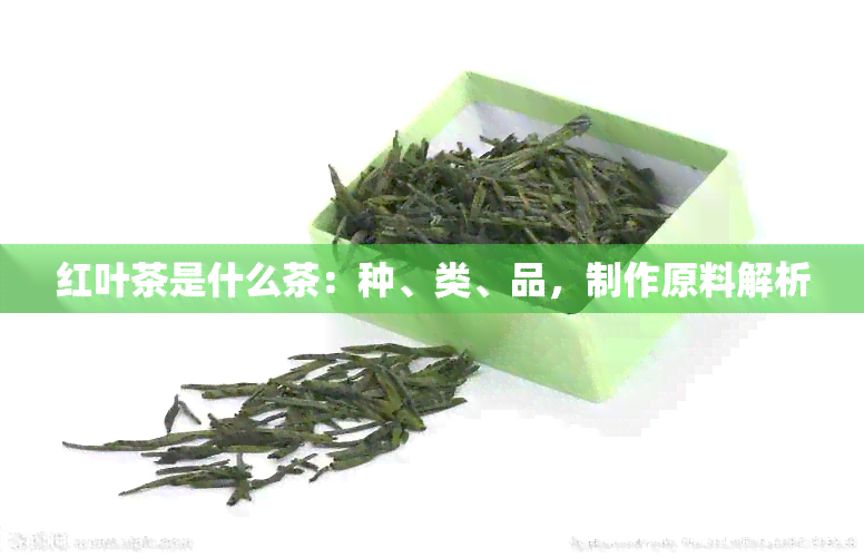 红叶茶是什么茶：种、类、品，制作原料解析