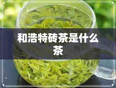 和浩特砖茶是什么茶