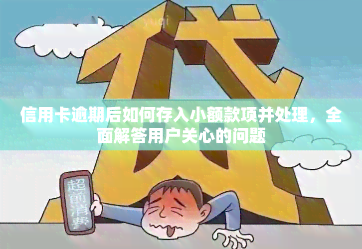 信用卡逾期后如何存入小额款项并处理，全面解答用户关心的问题