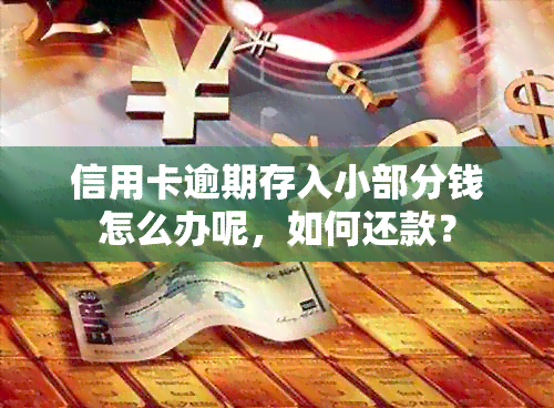 信用卡逾期存入小部分钱怎么办呢，如何还款？