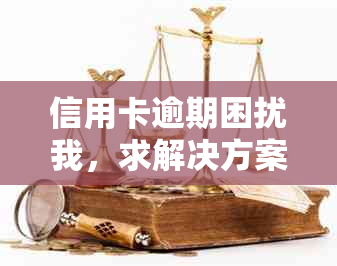 信用卡逾期困扰我，求解决方案