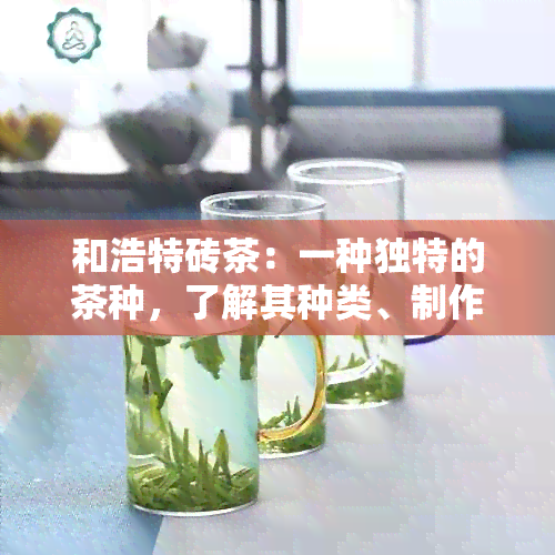 和浩特砖茶：一种独特的茶种，了解其种类、制作工艺及饮用方法