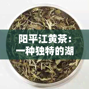 阳平江黄茶：一种独特的湖南茶叶文化体验