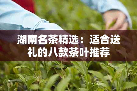 湖南名茶精选：适合送礼的八款茶叶推荐