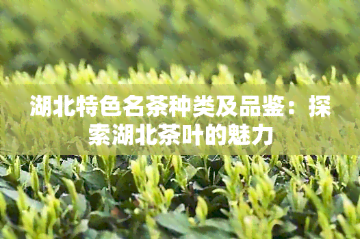 湖北特色名茶种类及品鉴：探索湖北茶叶的魅力