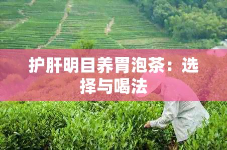 护肝明目养胃泡茶：选择与喝法