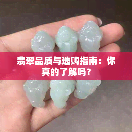 翡翠品质与选购指南：你真的了解吗？