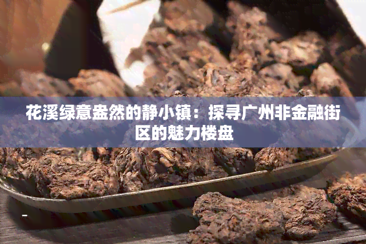 花溪绿意盎然的静小镇：探寻广州非金融街区的魅力楼盘