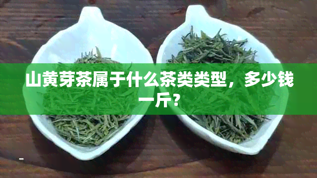 山黄芽茶属于什么茶类类型，多少钱一斤？