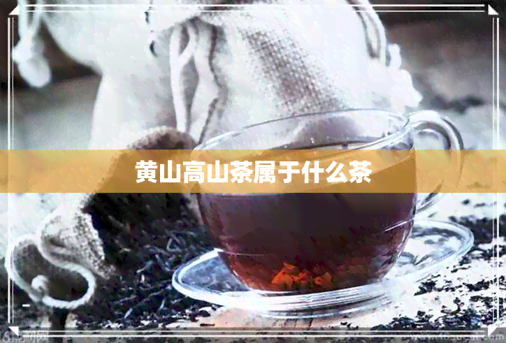 黄山高山茶属于什么茶