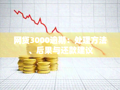 网贷3000逾期：处理方法、后果与还款建议