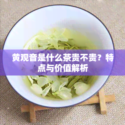 黄观音是什么茶贵不贵？特点与价值解析