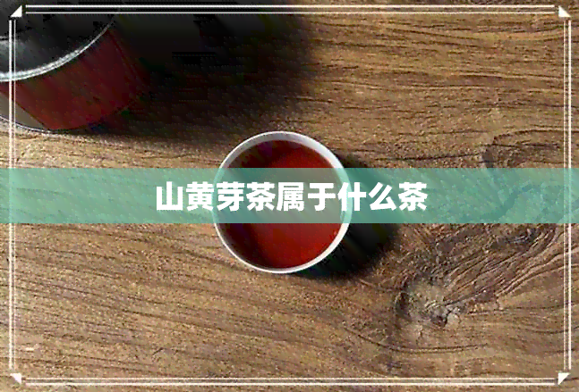 山黄芽茶属于什么茶