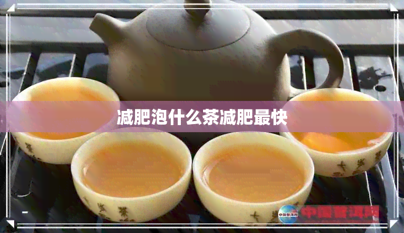 减肥泡什么茶减肥最快