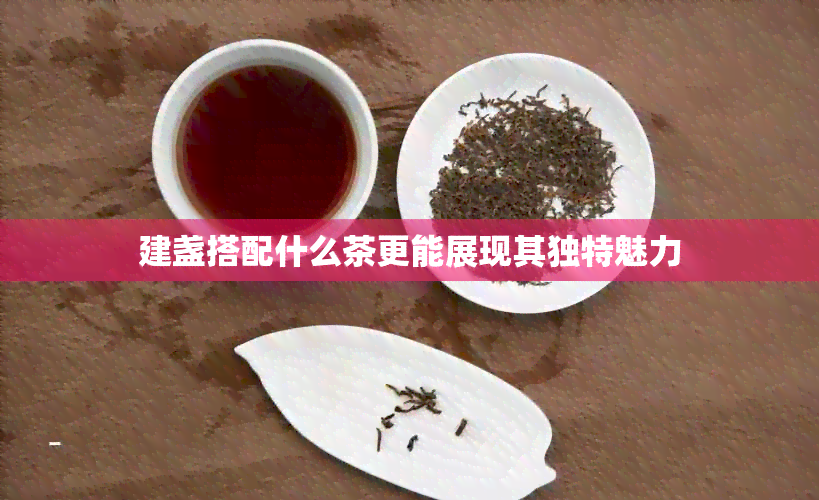 建盏搭配什么茶更能展现其独特魅力