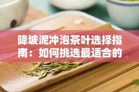 降坡泥冲泡茶叶选择指南：如何挑选最适合的茶叶以获得口感？