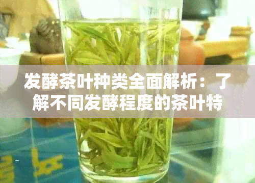 发酵茶叶种类全面解析：了解不同发酵程度的茶叶特性与口感