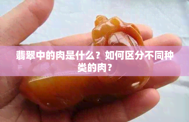 翡翠中的肉是什么？如何区分不同种类的肉？