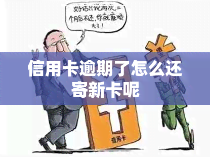 信用卡逾期了怎么还寄新卡呢