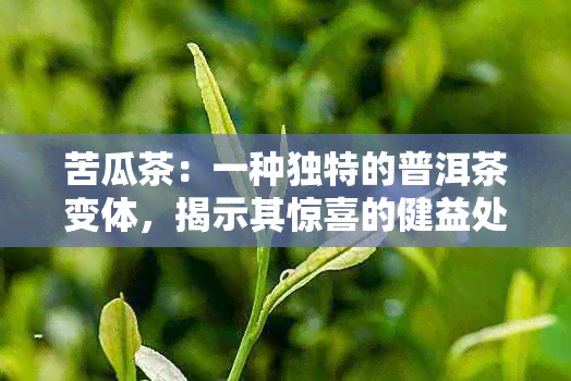 苦瓜茶：一种独特的普洱茶变体，揭示其惊喜的健益处