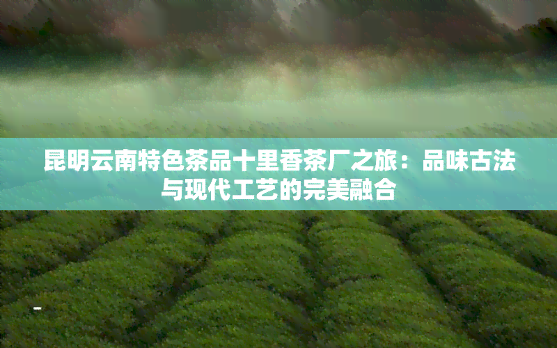 昆明云南特色茶品十里香茶厂之旅：品味古法与现代工艺的完美融合