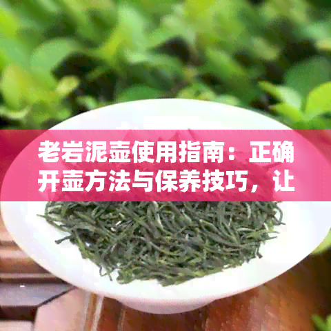 老岩泥壶使用指南：正确开壶方法与保养技巧，让你的茶具焕发新生